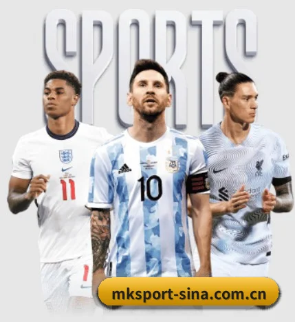 MK体育 APP - MKSPORTS